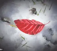 红尘世界，绿色战场上的激情碰撞